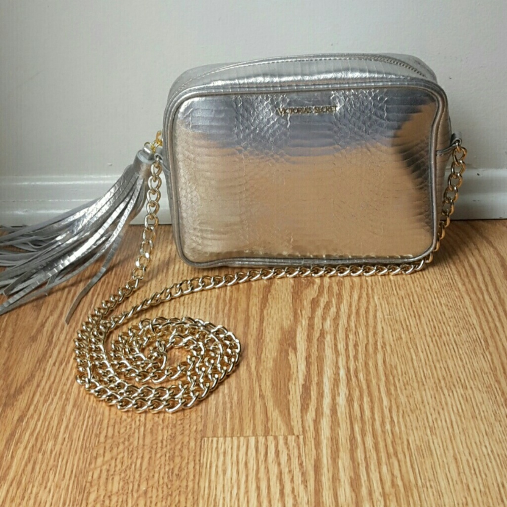 Silver and Gold Purse